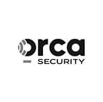 logs_0002_Orca-Security-Digital